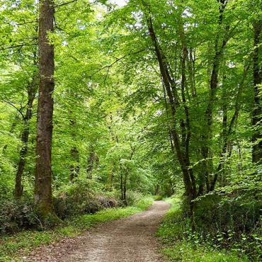 Les plus belles balades à la campagne