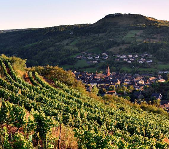 Vignoble de Marcillac - G.Tordjman / OT Conques