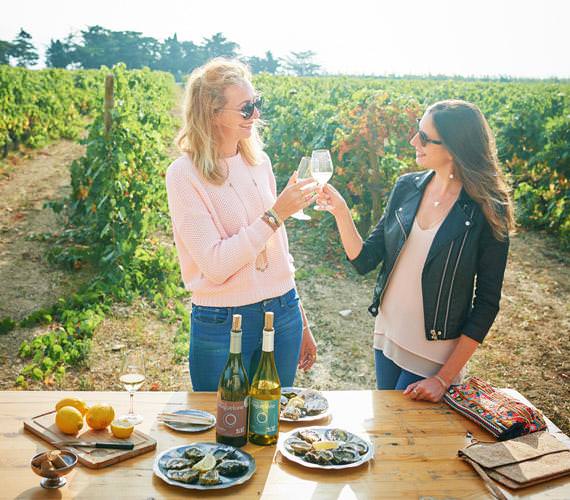 Dégustation au coeur des vignes Tourisme Occitanie