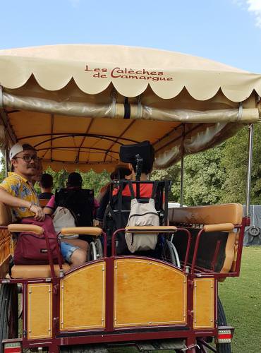Calèches de Camargue