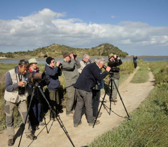 Observation oiseaux migrateurs J.BELONDRADE - PNRNM