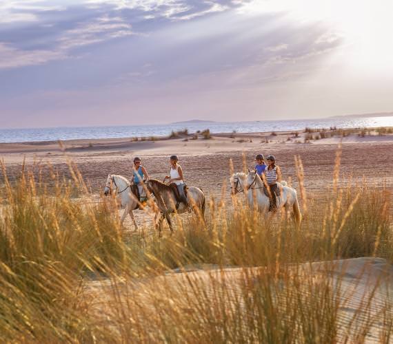 Plage de l'Espiguette coucher du soleil chevaux Richard Sprang - Ouvert au Public - CRT Occitanie