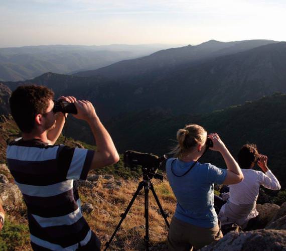 Hérault, PNR Haut-Languedoc, Observation - PNRHL