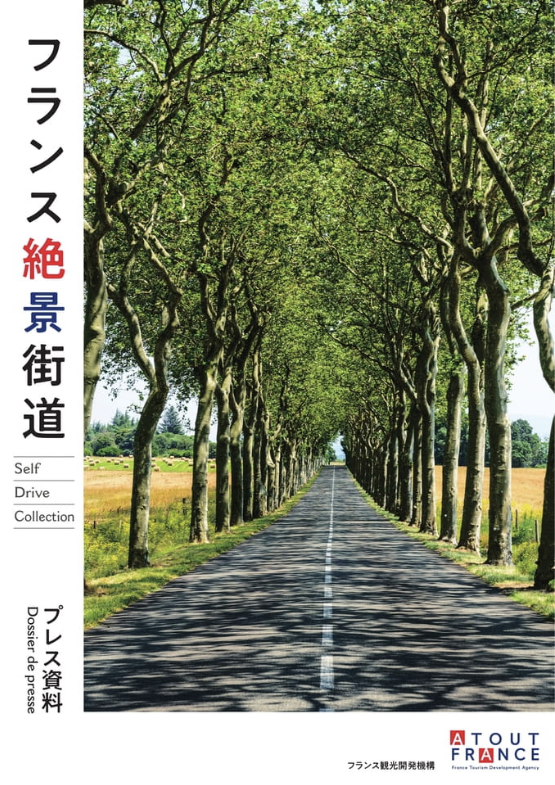 DP japonais Self drive