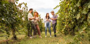 Groupe d'amis dans les vignes ©iStock-©Lordn - CRTL Occitanie