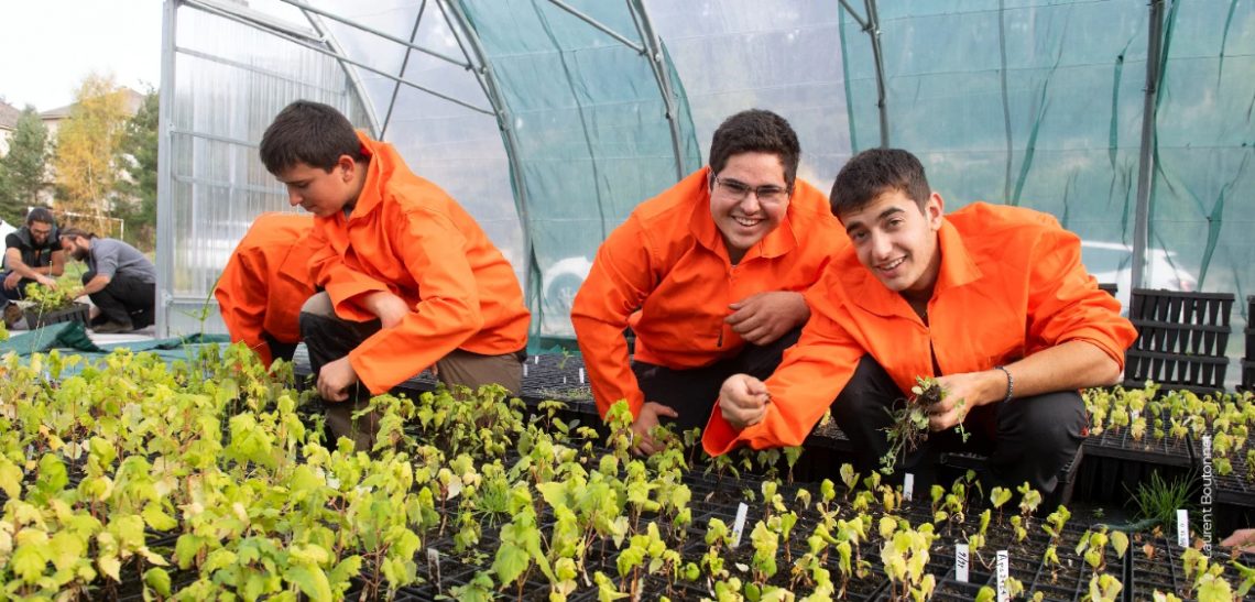 Jeunes travailleurs dans serre exploitation agricole©laregion.fr