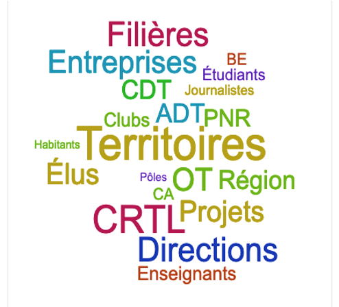 Schéma HIT nuage de mots- Pôle3D