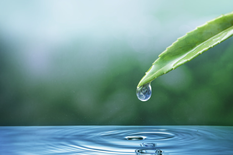 Goutte d'eau, nature