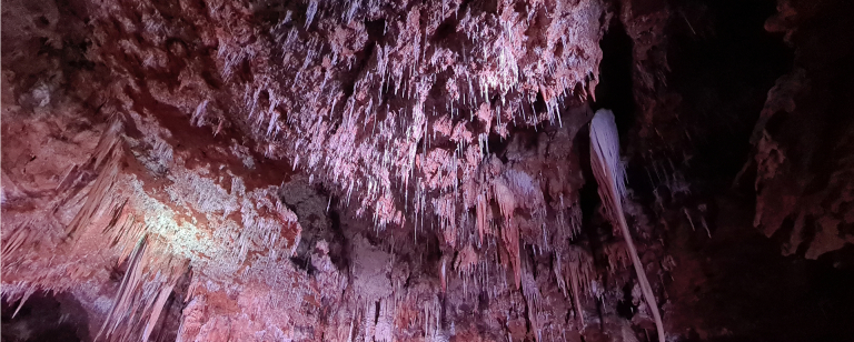 Grotte de Clamouse - Pays Coeur d'Hérault ©Alice DU - DrinkXEat - CRTL Occitanie