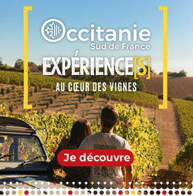 Campagne oenotourisme Automne CRTL Occitanie