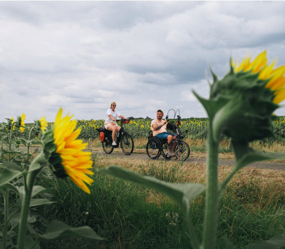 Tournesol, campagne, à vélo le long de la Garonne - Canal des 2 Mers - Tourisme & handicap Accessibilité ©Wheeled World - Nicolas Sebag - CRTL Occitanie