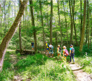 Forêt groupe de randonneurs ©Ivan Olivier - Ariège Pyrénées Tourisme