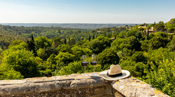 Vignoble du Gard été; vins ©Charlène Pelut @pelut.charlene - CRTL Occitanie