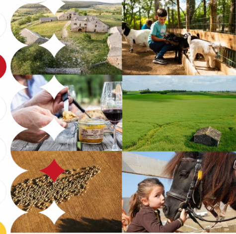 Page couv Enquête filière agritourisme 2023-2024