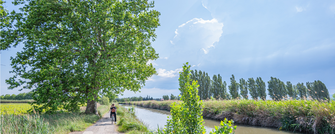 Balade à vélo au bord du Canal de la Robine à Narbonne ©Guillaume Payen - CRTL Occitanie