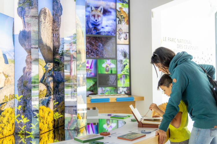 Visite de musée à Florac ©Benoît COLOMB - PACT Cévennes - CRTL Occitanie