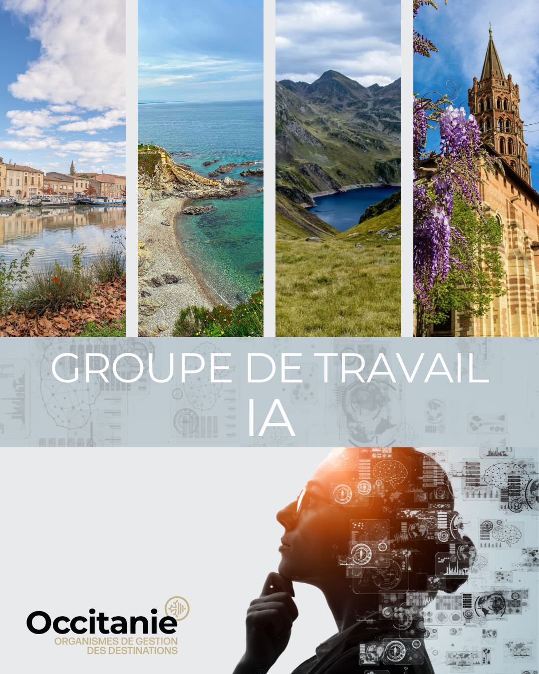 Logo Groupe de travail OGD et IA ©CRTL Occitanie