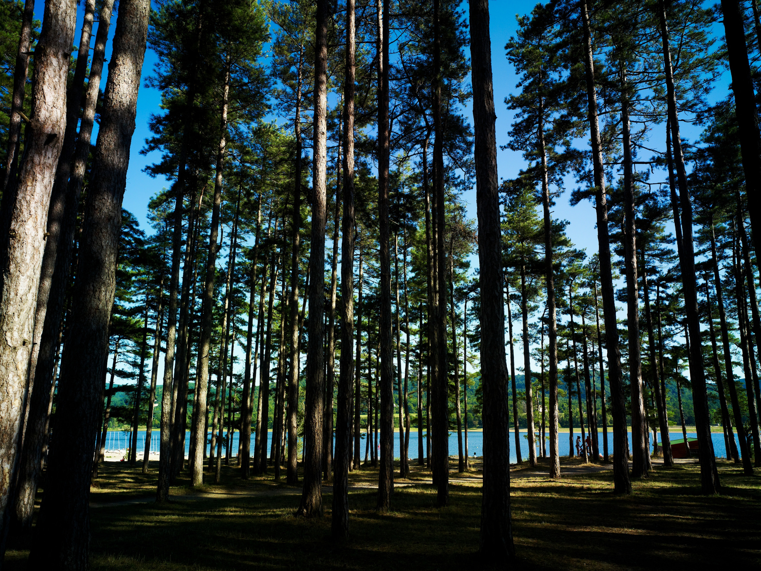 Dominique VIET - CRTL Occitanie