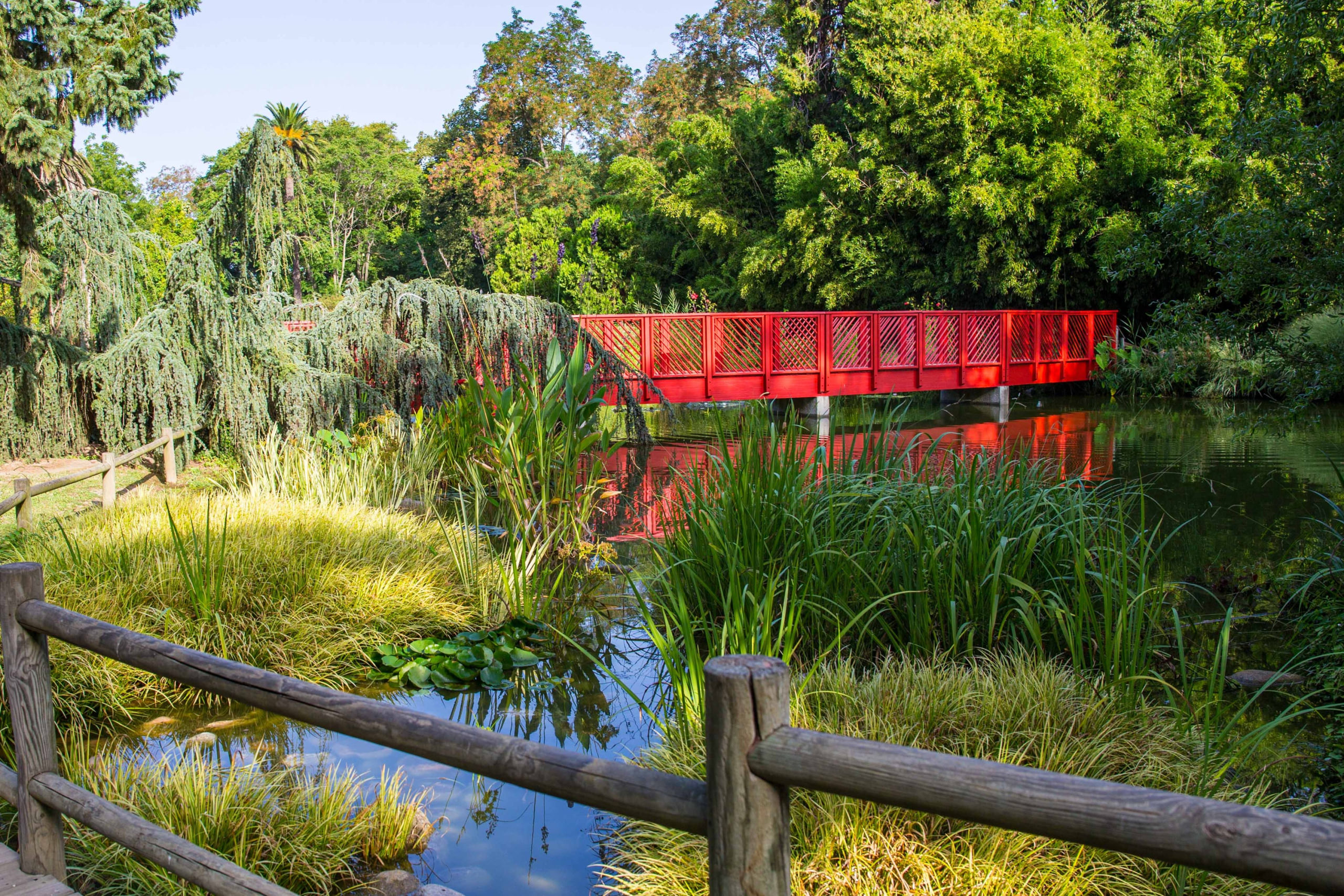 Office de Tourisme de Saint Cyprien - CRTL Occitanie