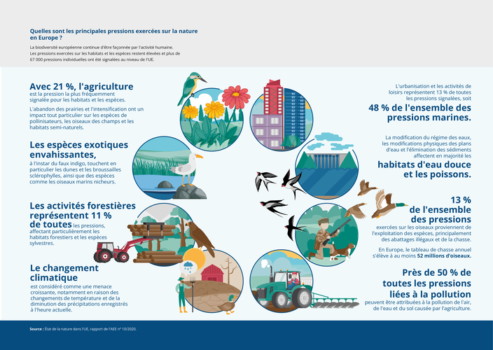 21105_FR_7_Infographics_v01_RC_7 (1)