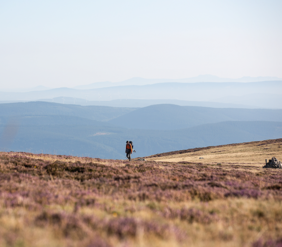 Sommet de Finiels sur le massif du Mont-Lozère ©Benoît COLOMB - PACT Cévennes - CRTL Occitanie