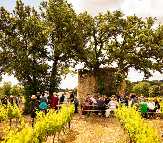 Caveau des vignerons de Lirac Qualité Tourisme Occitanie Sud de France ©Hervé Leclair/Algodia - CRTL Occitanie/Caveau des vignerons de Lirac