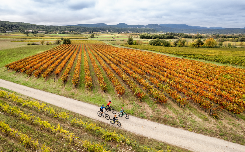 Randonnée à vélo dans les vignes à l'automne en Ardèche, Cévennes ©Benoît COLOMB - PACT Cévennes - CRTL Occitanie