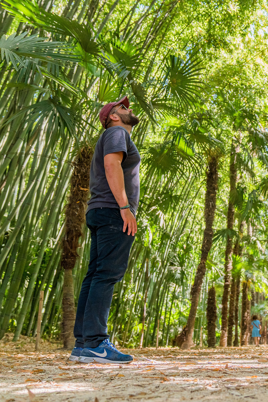 Bambouseraie en Cévennes © Alexis Calvignac / Simply Railway / Destination Occitanie