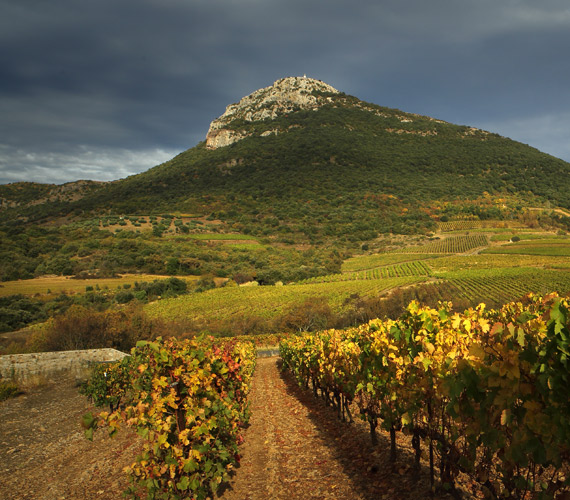 Pays Coeur d'Hérault © Georges Souche